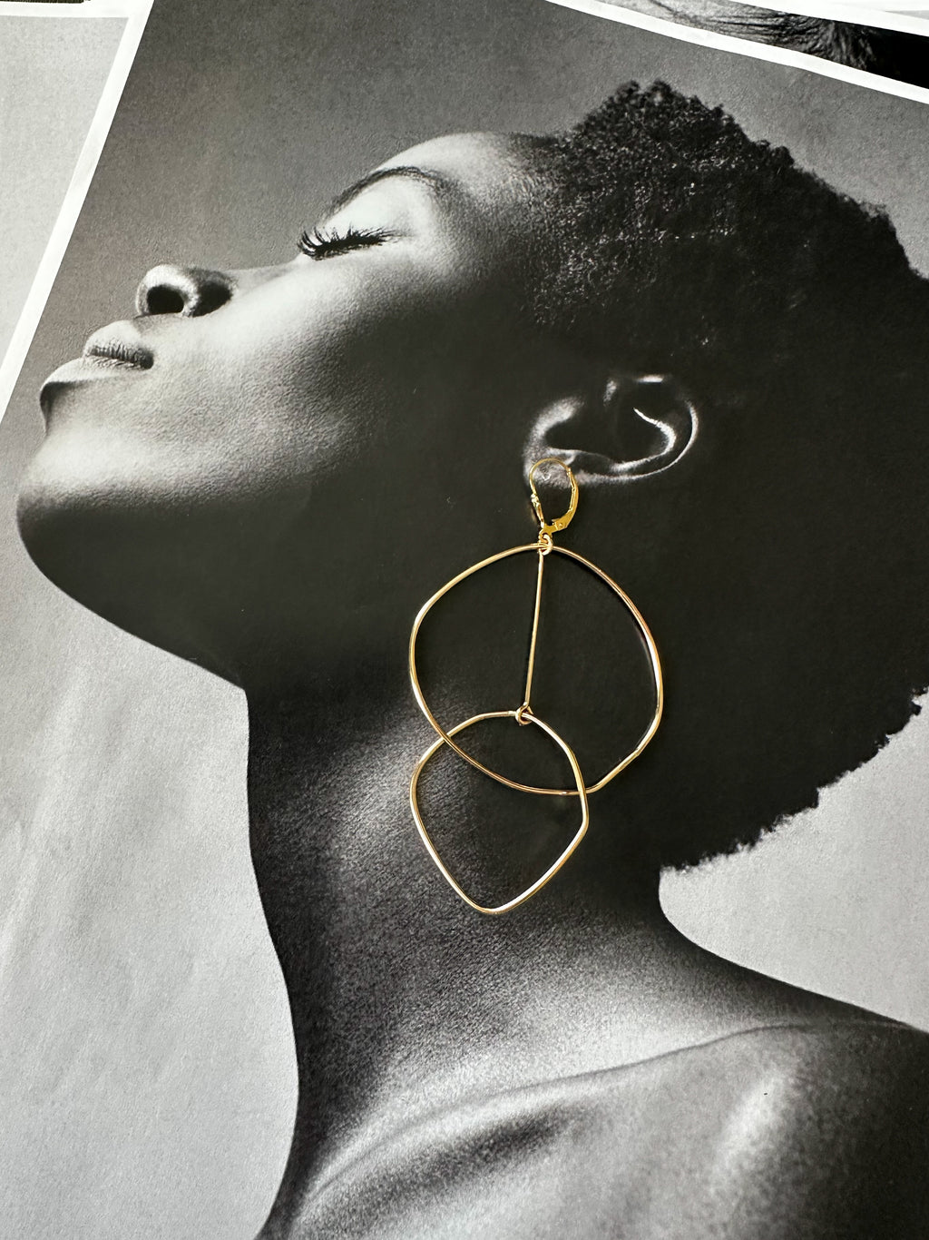 Calder Earrings in 14/20 Gold