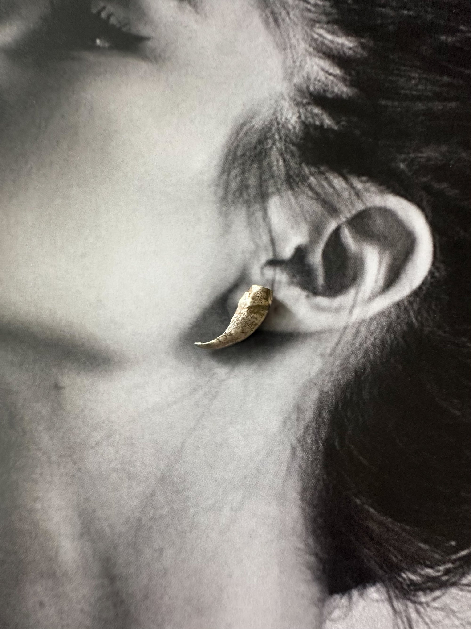 Wolverine Claw Studs