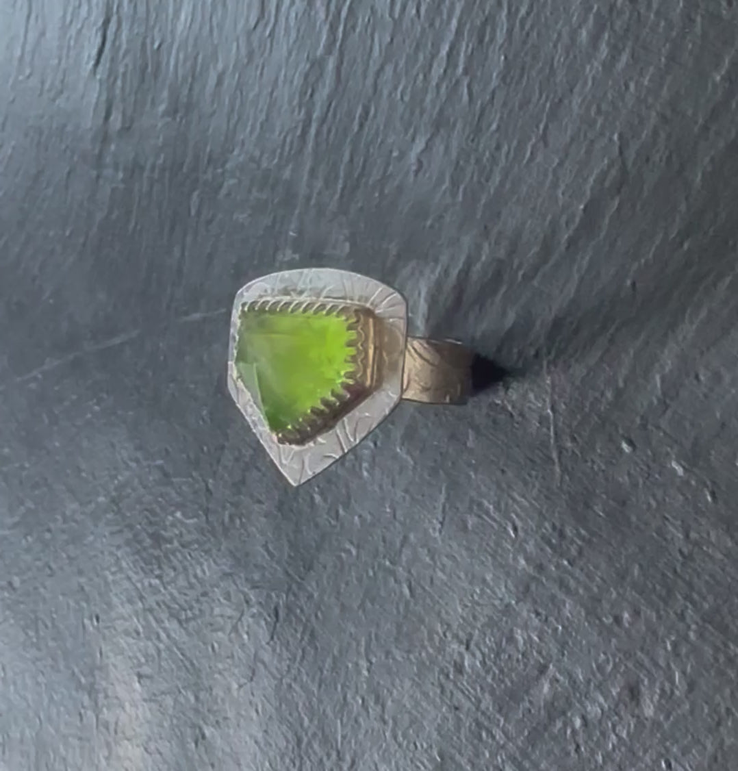 Verdant Guard Shield Ring