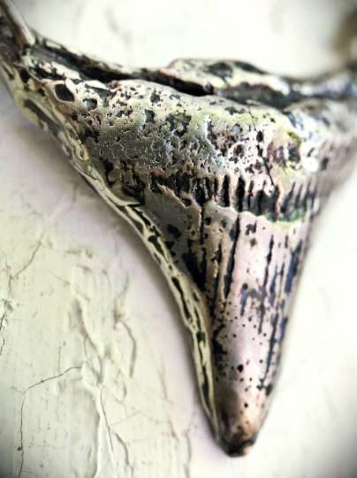 Obscuro Jewelry - CAST OF Prehistoric Megalodon tooth 