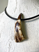 Load image into Gallery viewer, Petrified Buffalo Tooth Necklace - Obscuro Jewelry - leather with magnetic closure